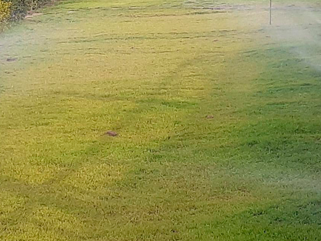 Projetos de Irrigação